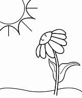 Girassol Sunset Sunlight Tudodesenhos Clipartsign sketch template