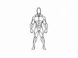 Template Superhero Body Comics Amino Artículo Aminoapps Human sketch template
