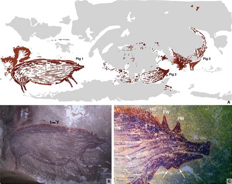 oldest cave painting observed  sulawesi indonesia  pig