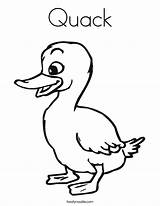 Quack sketch template