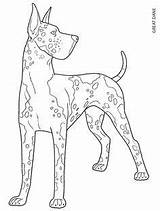 Coloring Pages Dane Great Dog Color Scottish Colouring Adult Dogs Dover Publications Drawings Terrier Doverpublications Book Drawing Printable Danes Animal sketch template