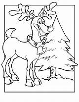 Coloring Reindeer Pages Christmas Printable Tree Kids Print Color Sheets Bestcoloringpagesforkids Deer Ultimate Collection sketch template