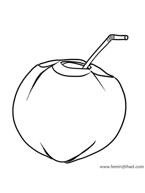coconut coloring image print fruit coloring pages flower