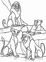 Coloring Lion King Simba Pages Sarabi Mufasa Nala Disney Talking Kids Baby sketch template