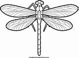 Dragonfly Clipart Outline Clip Tattoo Simple Cliparts Dragonflies Designs Library Clipartix Cliparting Load Personal Projects These sketch template
