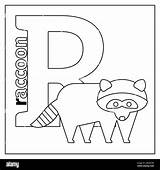 Letter Colorear Zoo Raccoon Zoologico sketch template
