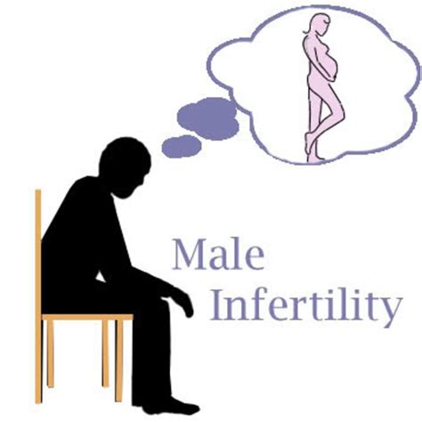 Male Infertility Causes Treatment And Prevention By Dr Vinod Raina