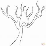 Baum Albero Bez Kahler Ausmalbild Foglie Drzewo Roots Ausmalbilder Kolorowanka Spoglio Rysunek Drzewa Liści Wurzeln Druku Kolorowanki Alberi sketch template