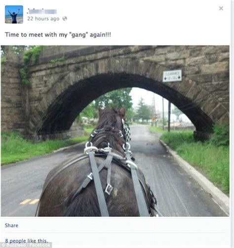 how amish teens use facebook to document their hard partying booze fueled rumspringa freedom