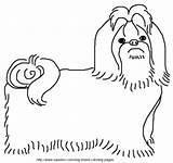 Tzu Shih Breed sketch template