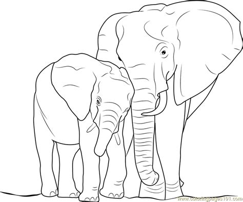elephant  baby coloring page  kids  elephant printable