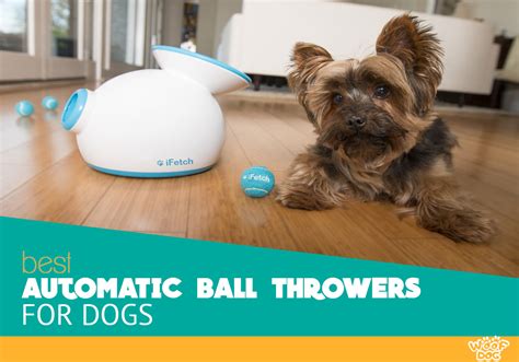 automatic ball throwers  dogs reviews buyers guide