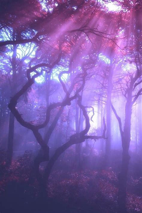 misty fairy tale  forest purple aesthetic violet aesthetic