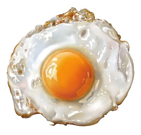 fried egg png image purepng  transparent cc png image library