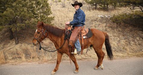training program brings   horse   rider aspca