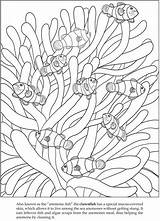 Coloring Pages Drawing Fish Book Clown Sea Clownfish Animals Dover Publications Color Welcome Animal Explore Doverpublications Colouring Books Let Sticker sketch template