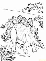 Coloring Stegosaurus Dinosaur Armored Dinosaurs Printable sketch template