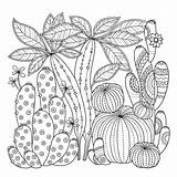 Cactus Coloring Linear Scribble Fo Lineair Beeld Leuke Boek Kleurende Depositphotos sketch template