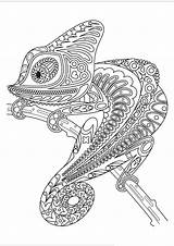 Mandalas Pages Mandala Pintar Chameleon Zentangle Coloriage Reptiles Snakes Camaleonte Doodle Adult Animalitos Coloriages Desde Colorare Dibujod Sp Colorier Iguana sketch template