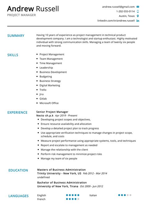 project manager resume  samples examples format resume curruculum vitae