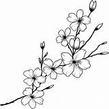 Blossoms Stencils Inkbox Gazing sketch template