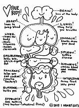 Coloring Anatomy Pages Kidney Human Color Kids Colouring Body Printable Drawing Sheet Simple Worksheets Organs Guts Parts Heart Template Lores sketch template