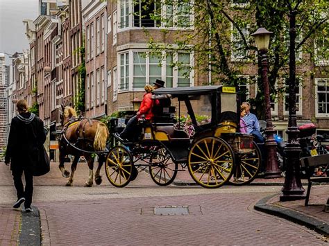 where to stay in amsterdam a guide to the best neighbourhoods theplanetd