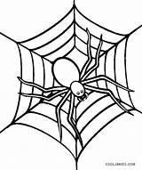 Spider Coloring Pages Kids Halloween Drawing Printable Web Minecraft Color Cool2bkids Colouring Cartoon Getdrawings Games Simple Clipartmag Printables Paintingvalley Drawings sketch template
