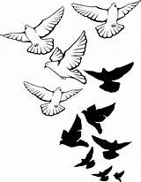 Dove Drawing Realistic Tattoo Flying Getdrawings sketch template