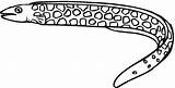 Eel Moray Anguilles Coloriages Printmania sketch template