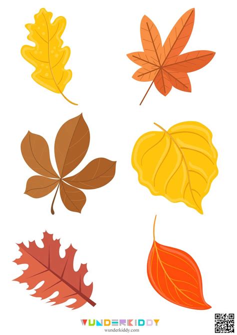 printable autumn leaves outline templates  kids craft autumn