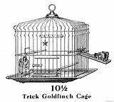 Coloring4free Coloring Bird Pages Printable Birdcage Trick Vintage Related Posts sketch template