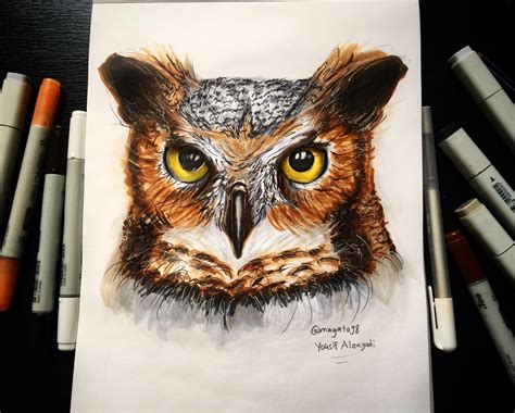 realistic owl drawing  getdrawings
