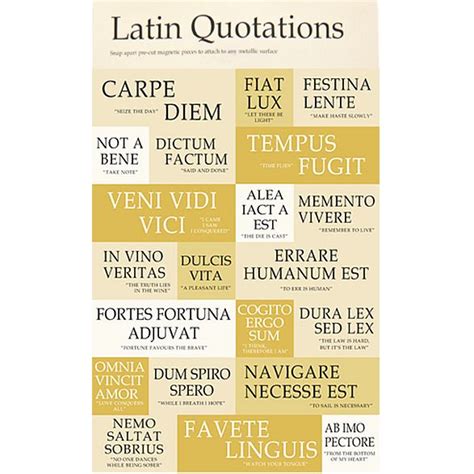 best 25 latin quotes ideas on pinterest latin phrases