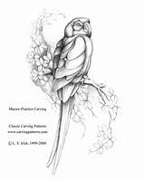 Carving Wood Patterns Designs Pyrography Easy Pencil Outline Woodcarving Pattern Macaw Simplifying Kasco Leaf Shaded Shading sketch template