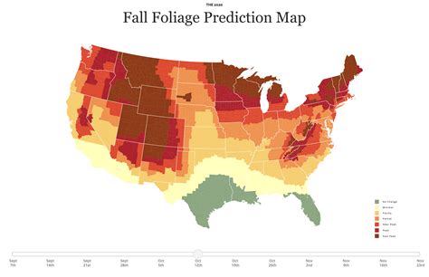 The Interactive Fall Foliage Map Is Back To Help You Plan Your Autumn