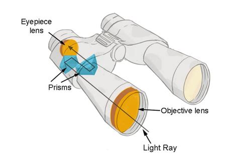 numbers  binoculars   detailed guide upd