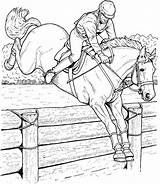 Chevaux Saute Cheval Coloring Jumping Catégorie sketch template