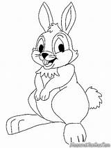 Rabbit Kelinci Mewarnai Rabbits Hewan Sketsa Montagna Coelhos Realistic Paskah Binatang Selasar Ayomewarnai Yup Bestcoloringpagesforkids Dunia Halaman sketch template