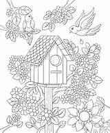 Coloring Pages Bird Adults House Birdhouse Spring Adult Flower Floral Kids Book Freebie Birds Flowers Color Colorit Drawing Printable Size sketch template