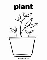Coloring Plants Care Plant Take Potted Print sketch template