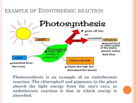 endothermic  exothermic reaction powerpoint  id