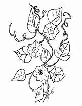 Campanula Bell Flower Coloring Pages Bellflower Supercoloring Printable Categories sketch template
