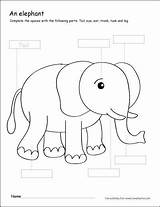 Elephant Parts Color Cleverlearner Grade Worksheets First Preschool Activities Coloring Kindergarten Writing Colour Printable Sheet Label Animals Kids Sheets Elephants sketch template