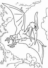 Dinosaur Pteranodon Coloring Edupics sketch template