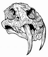 Sabertooth Skulls sketch template