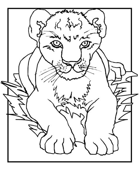printable lion coloring pages  kids
