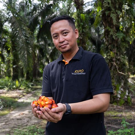 warum nachhaltiges palmoel runder tisch zu nachhaltigem palmoel rspo