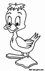Pages Coloring Kids Baby Colouring Printable Animal Duckling Print Cute sketch template