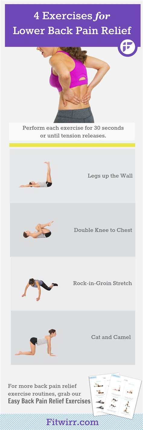 4 Amazing Lower Back Exercises For Back Pain Relief